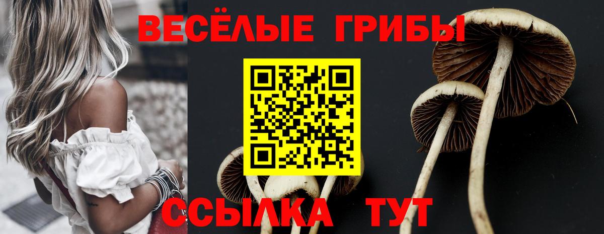 Псилоцибиновые грибы Psilocybine cubensis Сибай