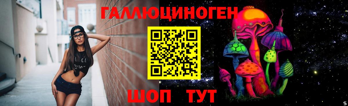 Псилоцибиновые грибы MAGIC MUSHROOMS  Вход с VPN  Сибай 