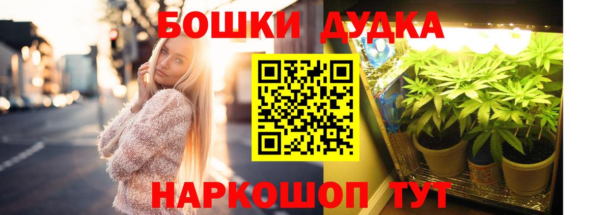 Бошки Шишки конопля Сибай
